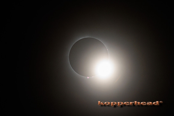 83754 04 2024 Kopperhead