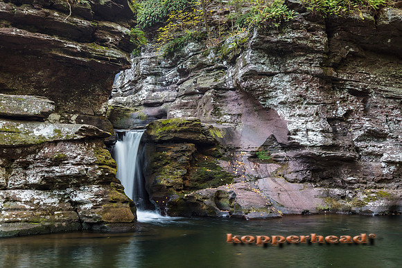 00395 10 2016 Kopperhead