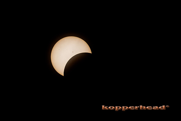 83639 04 2024 Kopperhead
