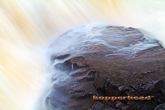 29712h 06 2011 Kopperhead