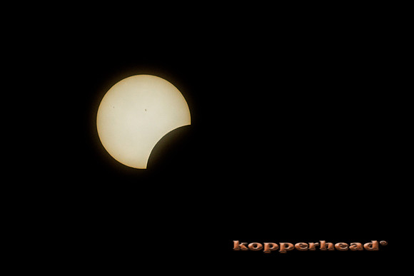83614 04 2024 Kopperhead