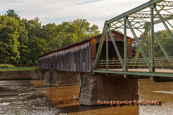 60789 08 2016 Kopperhead