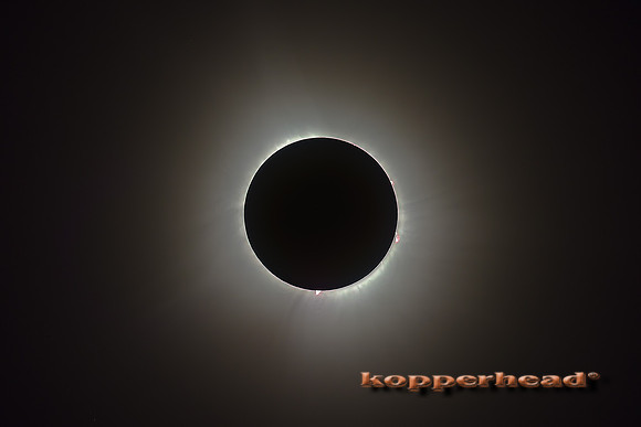 83728 04 2024 Kopperhead