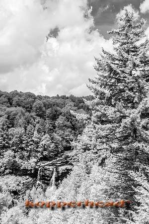 69687ir 07 2016 Kopperhead