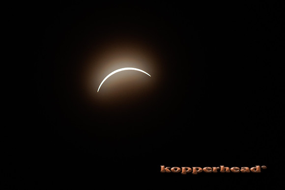 83704 04 2024 Kopperhead