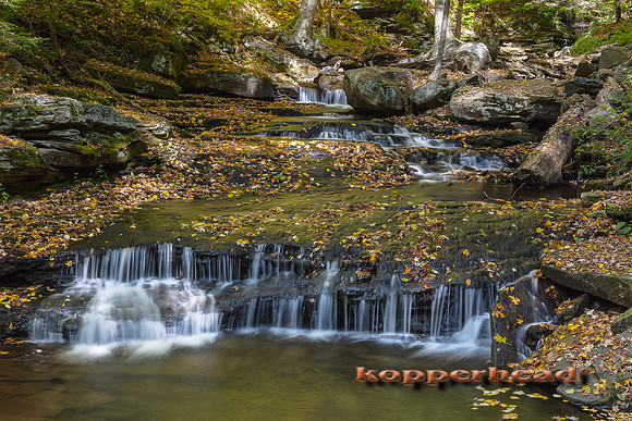 00091 10 2016 Kopperhead
