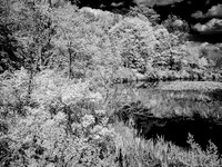 Infrared Landscapes