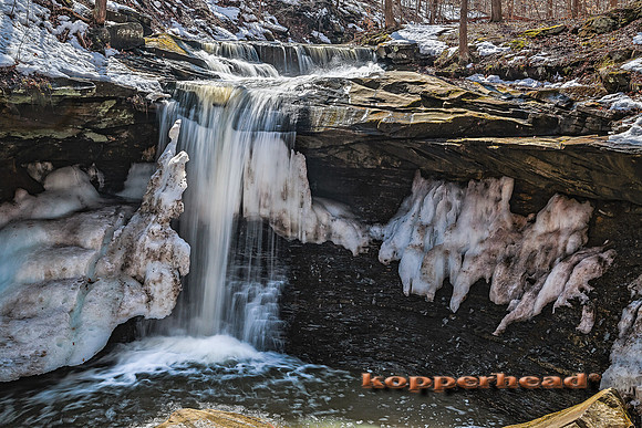 30434h 03 2015 Kopperhead