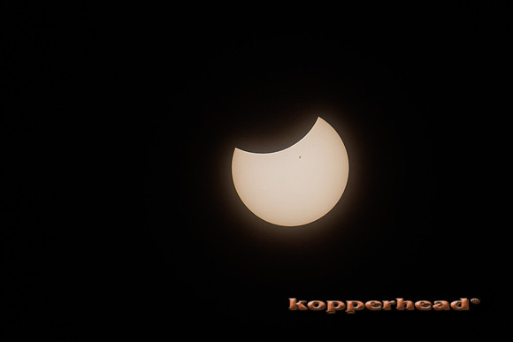 83886 04 2024 Kopperhead