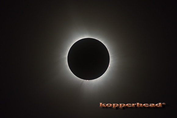 83739 04 2024 Kopperhead