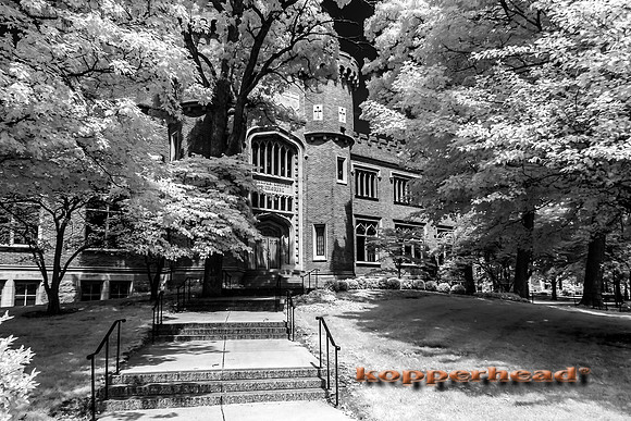 69669ir 07 2016 Kopperhead