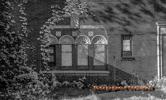 69972ir 09 2016 Kopperhead