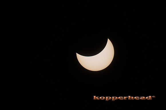 83841 04 2024 Kopperhead