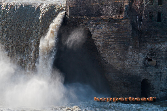 19196 03 2011 Kopperhead