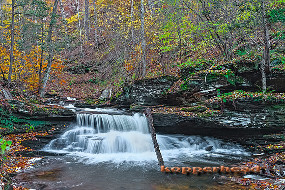 27370hs 10 2014 Kopperhead