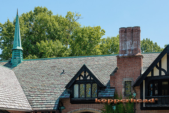 48935 08 2022 Kopperhead