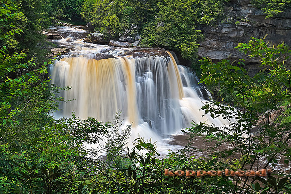 29654h 06 2011 Kopperhead.jpg