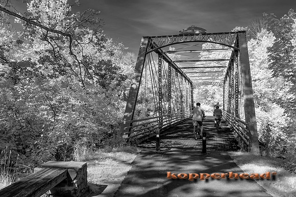 69530ir 06 2016 Kopperhead