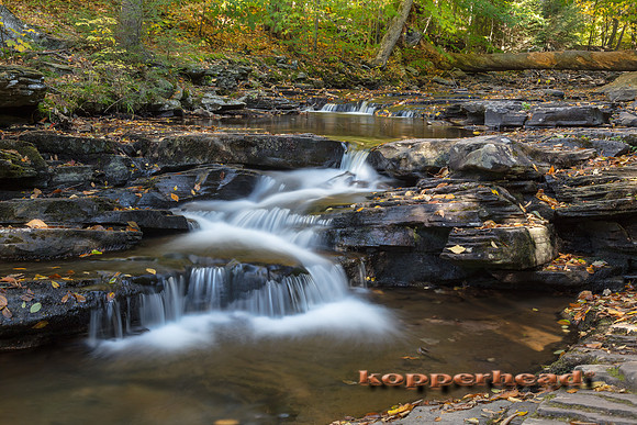 00037 10 2016 Kopperhead