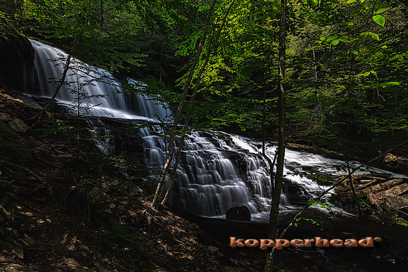 40376hA 06 2019 Kopperhead