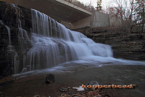 02496x 04 2010 Kopperhead